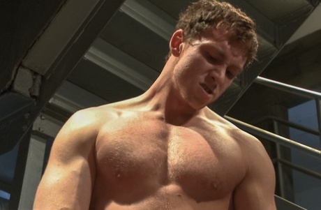 homoseksuel gruppe creampie bedste porno arkiv