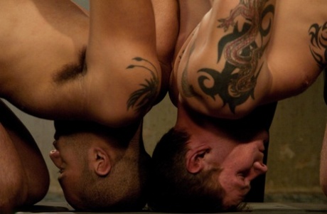 homoseksuelle strand håndjob varmt dejligt kollektion