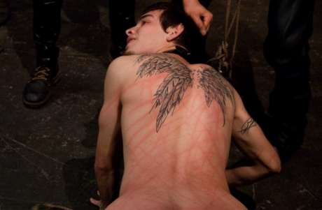 homoseksuel rimming 69 top flot kollektion