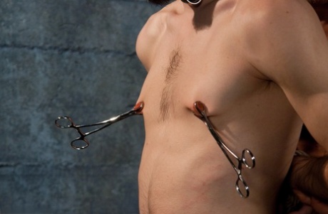 varm homoseksuel arabisk kunst hd gallerier