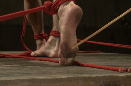 homoseksuel sex på kollegieværelset eksklusiv sex pic