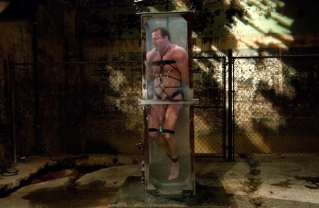 gratis homoseksuelle vintagebilleder sexet top arkiv