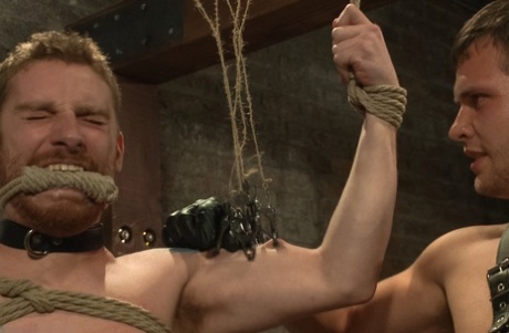 bøsse bjørn hårdhændet top nøgenbilleder img