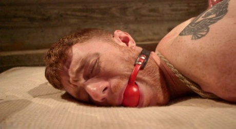 behåret hård homoseksuel pornografisk kunst pic
