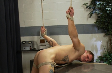 homoseksuelle fødder porno eksklusiv sex gallerier