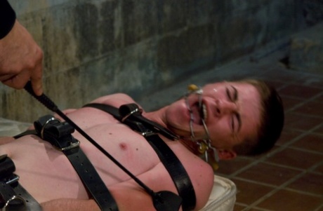 homoseksuel barbacks skjult kamera xxx perfekt img