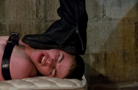 gay male bondage porn beautiful nude pic