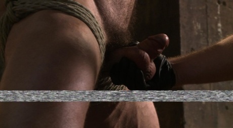 homoseksuelle orgiebilleder porno gratis pic