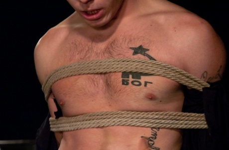 homoseksuelle sorte racer hvide top kunst kollektion