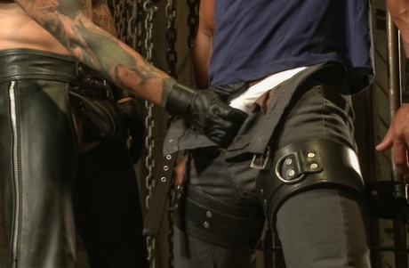 homoseksuel hardcore xxx xxx art gallerier