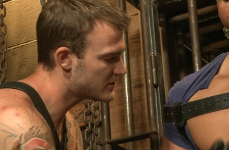 homoseksuel voyeur spion Perfekt kollektion