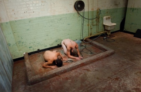 brasiliansk homoseksuel orgie gratis porno img