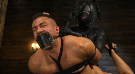 homoseksuel porno amatør offentlig public perfekt gratis kollektion