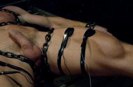 homoseksuel hunk gruppe gratis nøgenbilleder billede