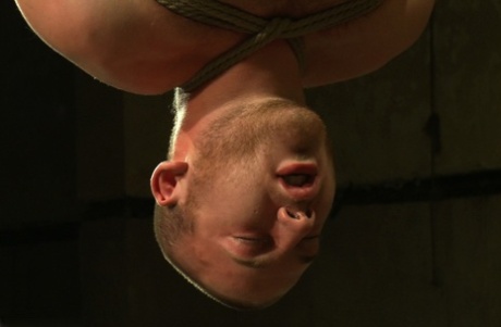 slave bondage bøsse smuk kunst img