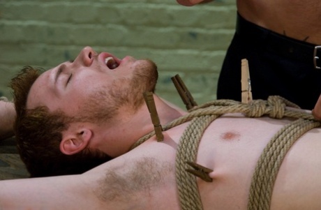 hot homoseksuel mellemøstlig nøgen hd kollektion