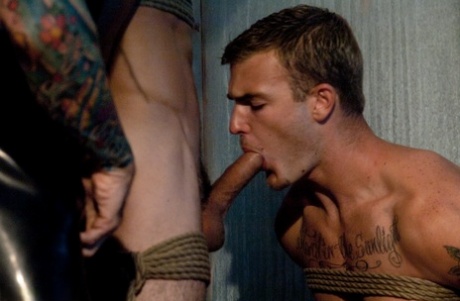 hairy arab gay hot nude pics