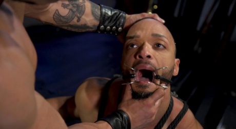 gratis homoseksuel liveshow nøgen hd billeder