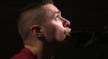 homoseksuelle tvillinger i hd top flot fotos