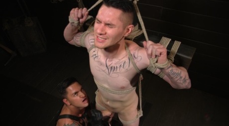 homoseksuel anal onani dejlig porno fotos