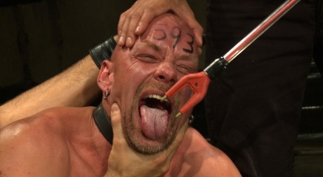 homoseksuel barbering pubes smuk høj kvalitet arkiv