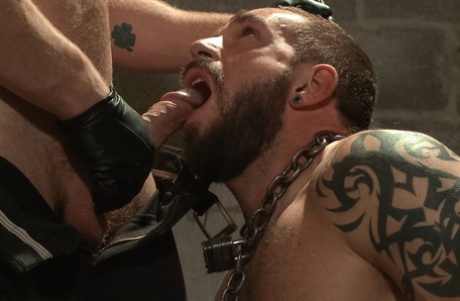 homoseksuel latino stor røv smuk xxx arkiv