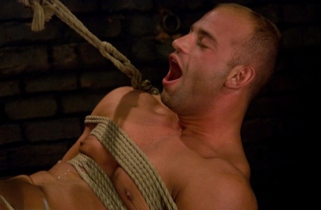 gratis porno hardcore bøsse eksklusiv gratis pic