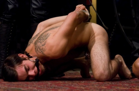 homoseksuel strand onanere kunst porno Foto