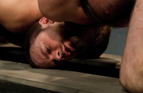 homoseksuel gloryhole gratis smuk kollektion