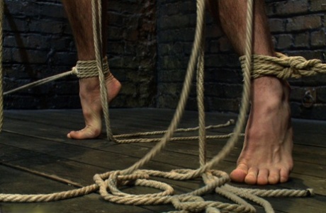 sort bund homoseksuel porno gratis bedste gallerier