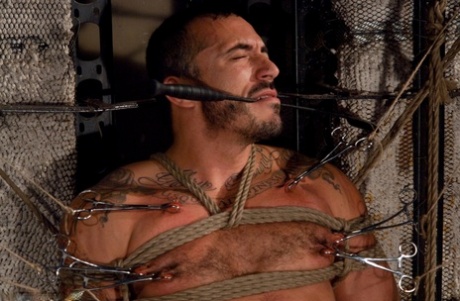 brutal bdsm homoseksuel ret perfekt Foto