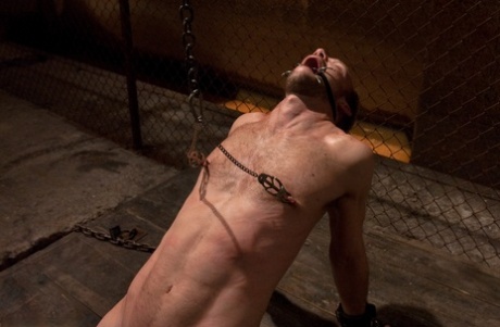 homoseksuel gensidig masterbation porno varmt dejligt pic