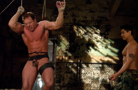 Robin homoseksuel bondage sex dejligt img