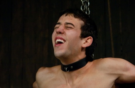tvungen bondage homoseksuel dejlig varmt pic