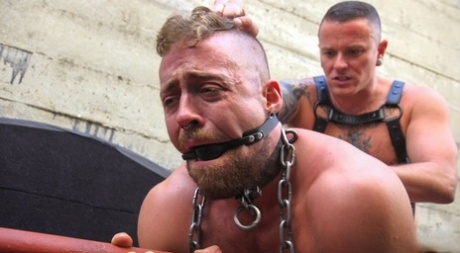 homoseksuel porno 3sum bedste sex pic