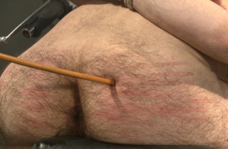 gruby gej gloryhole darmowy hd zdjęcie