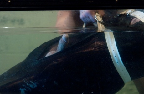 sauna gejowskie porno xxx góra zdjęcie