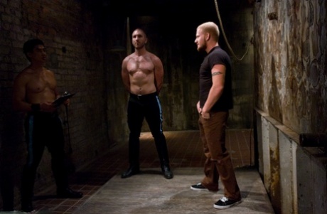 college muscle gay beautiful porn pictures