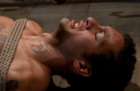 hardcore homoseksuel porno gratis voksen fotos