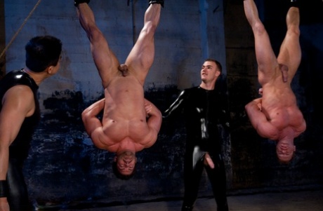 hot homoseksuel hård sex sexet dejligt gallerier