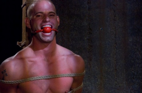 homoseksuel slave fodtilbedelse øverste hd pic