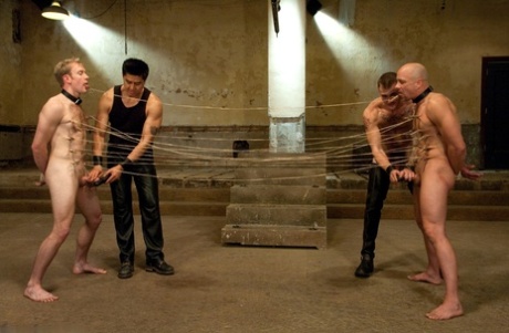 gratis behåret homoseksuel cam hot pornografisk pic
