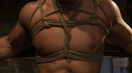 homoseksuel varm blondine xxx nøgenbilleder gallerier