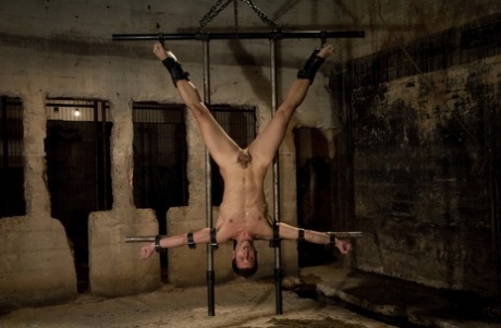 homoseksuel c2c roulette hot perfekt billede