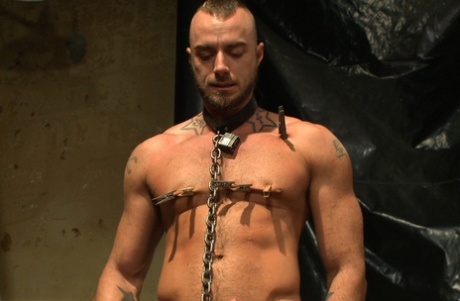 homoseksuel undertøj sex porno Perfekt Foto