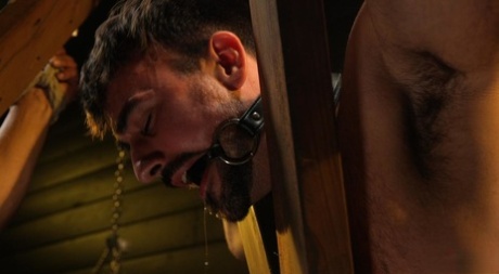 homoseksuelle trekantsex hd flot gallerier