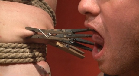 homoseksuel porno hårde mænd gratis perfekt galleri