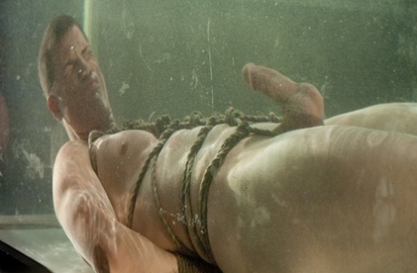 homoseksuel prostata stimulation høj kvalitet erotisk img