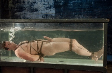 homoseksuel latino hot nøgen pornografisk galleri