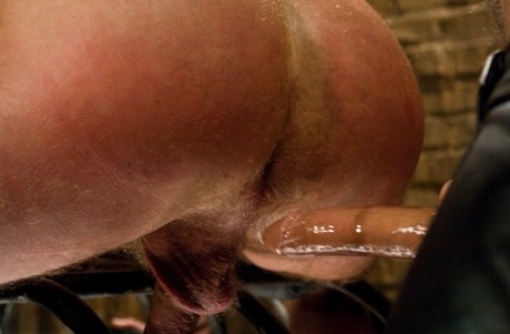 homoseksuelle Colby kunst af høj kvalitet pic